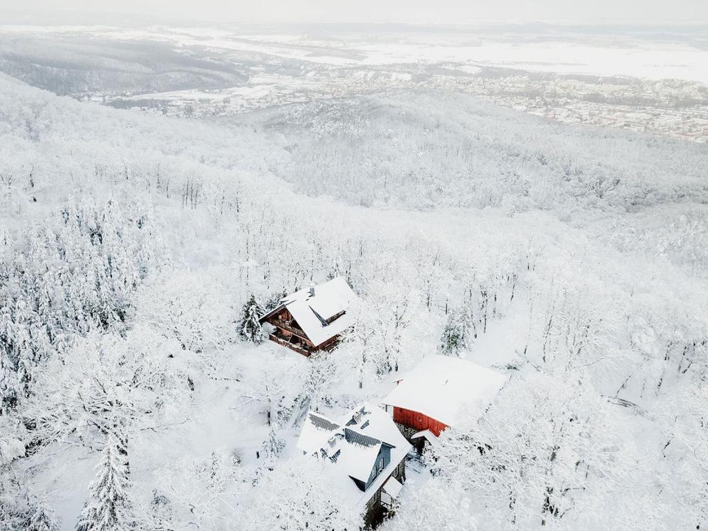 Naturtraum Georgshöhe Gasthof Thale